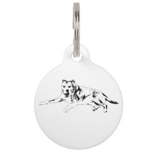 Visible Pal, Clear Heart Pet Tag