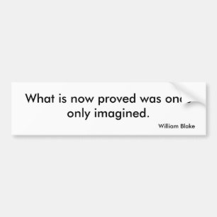 Vision Bumper Sticker