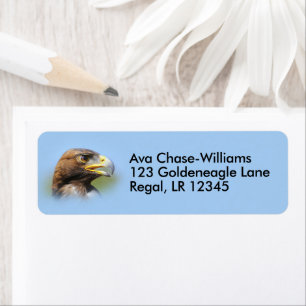 Vision of a Beautiful Young Golden Eagle