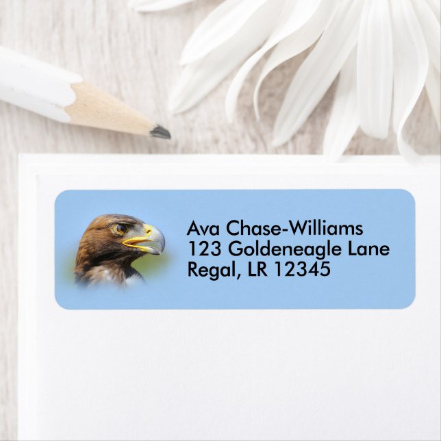 Vision of a Beautiful Young Golden Eagle (Insitu)