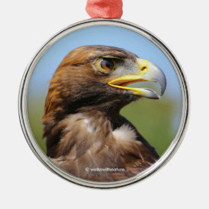 Vision of a Beautiful Young Golden Eagle Metal Tree Decoration