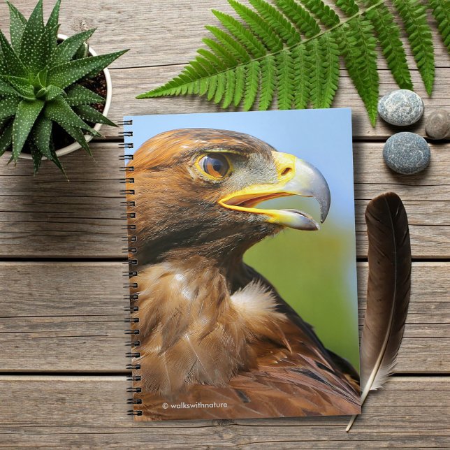 Vision of a Beautiful Young Golden Eagle Notebook (Vision of a Beautiful Young Golden Eagle Journal Cover Photo)