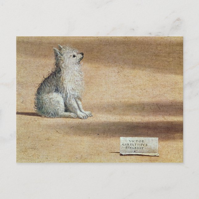 Vision of St. Augustine Postcard (Front)