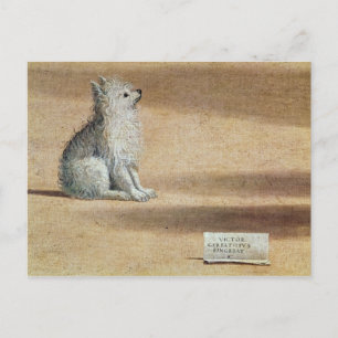 Vision of St. Augustine Postcard