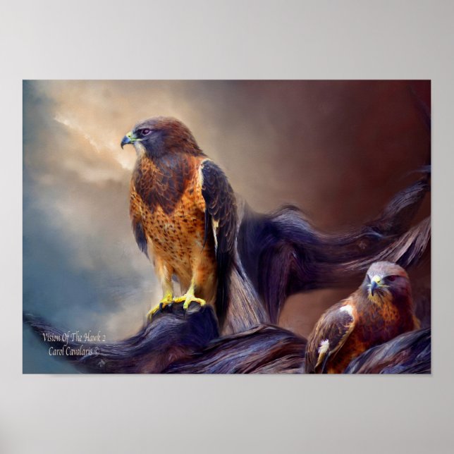 Vision Of The Hawk 2 Art Poster/Print Poster (Front)