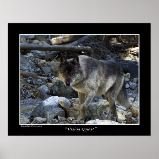 "Vision Quest" Wolf Poster