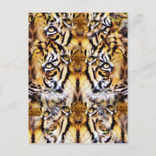 Visions_ Postcard