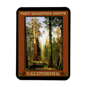Visit Mariposa Grove Magnet