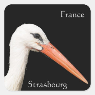 Visit Strasbourg Square Sticker