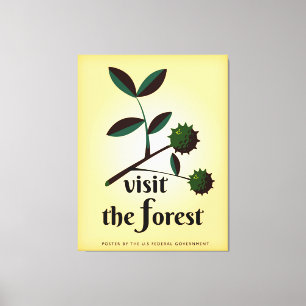 Visit the forest USA vintage poster. Canvas Print