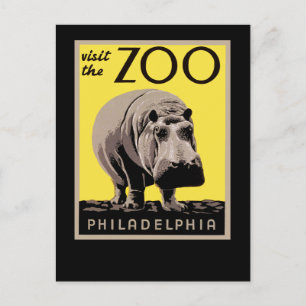 Visit The Zoo Postcard
