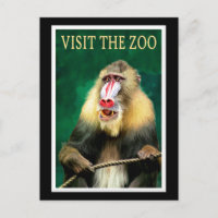 Visit the Zoo, vintage travel poster