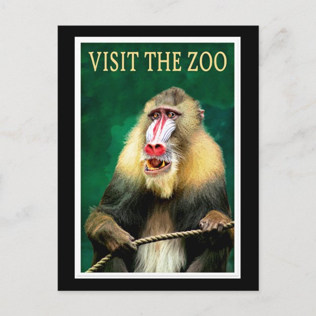Visit the Zoo, vintage travel poster Postcard (Front)