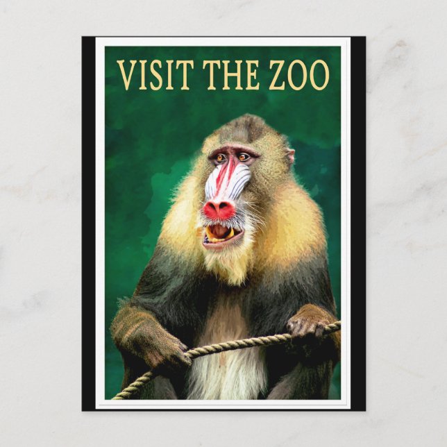 Visit the Zoo, vintage travel poster Postcard (Front)