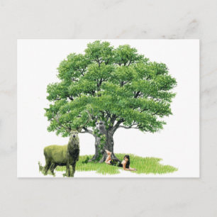 Visit With Father Oak Postcard