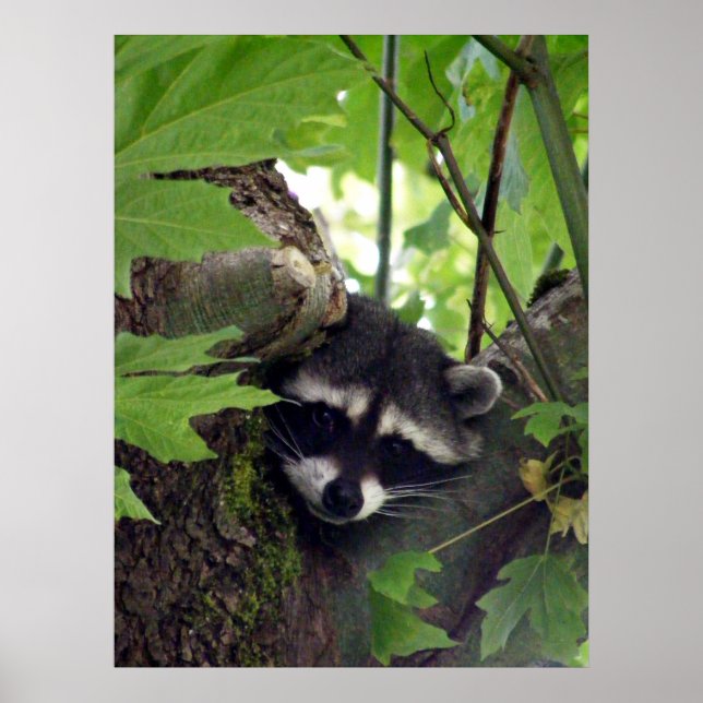 Visitor Poster (Front)