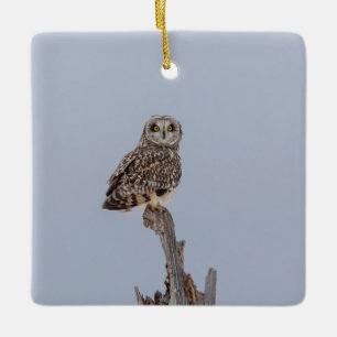 Visitors of the Grasslands Short-Eared Owls Ceramic Ornament