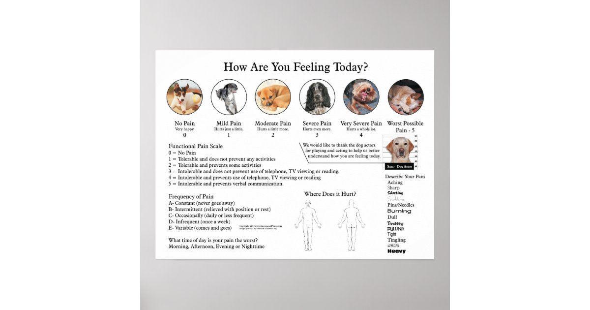 Visual Pain Identifier Visual Pain Scale Poster Wall Chart | Zazzle