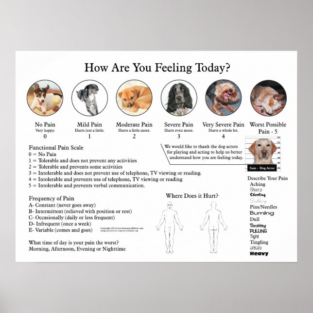 Visual Pain Scale Poster Wall Chart (Front)