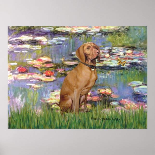 Viszla 2 - Vizsla Poster (Front)