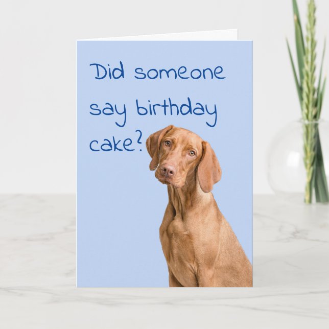 Viszla Dog birthday card (Front)