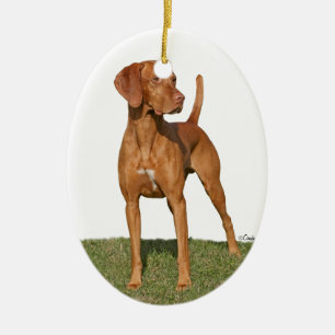 Viszla hunting dog Ornament