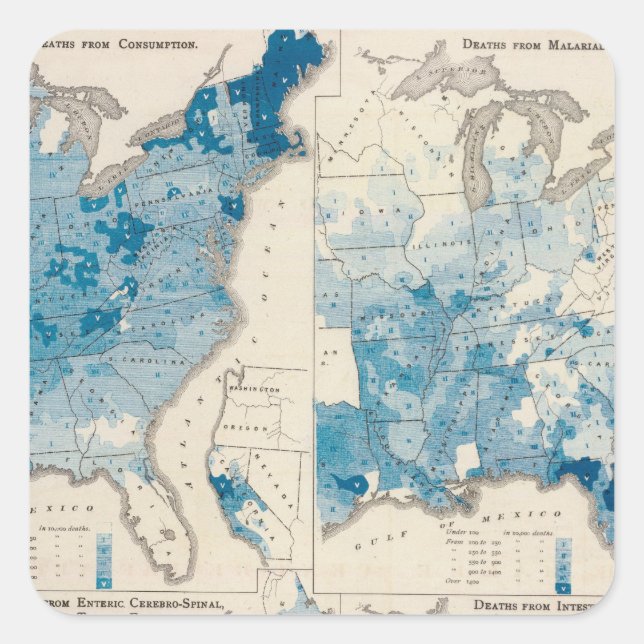 Vital statistics, United Census Square Sticker (Front)