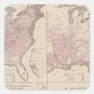 Vital Statistics, United States Census Square Sticker