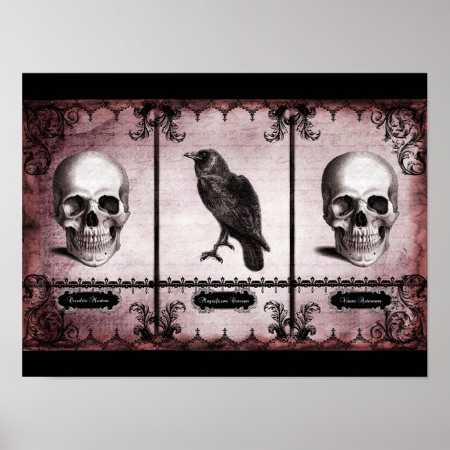 Vitam Aeternam Poster (Front)