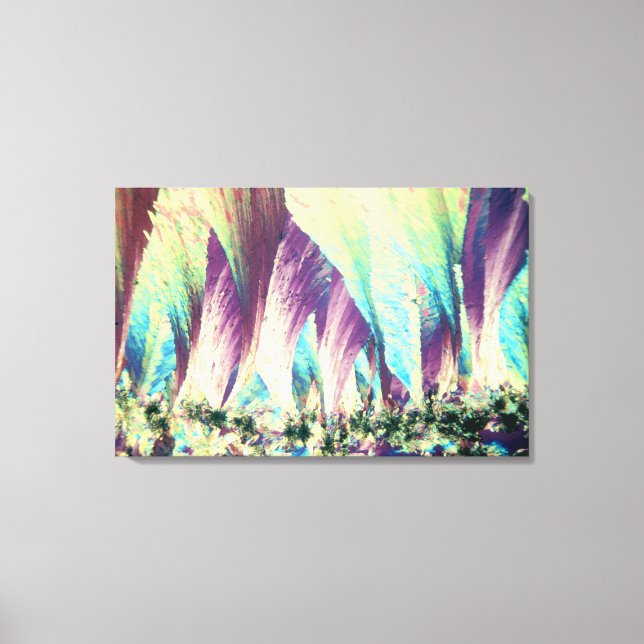 Vitamin A Crystals Canvas Print (Front)