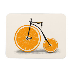 Vitamin   Florent Bodart Magnet