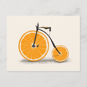 Vitamin   Florent Bodart Postcard