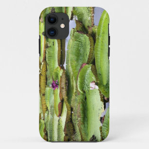 Vitoria Regis, giant water lilies in the Amazon iPhone 11 Case