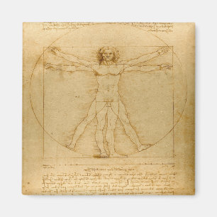 Vitruvian Man by Leonardo da Vinci Magnet