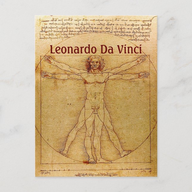 Vitruvian Man By Leonardo Da Vinci Postcard (Front)