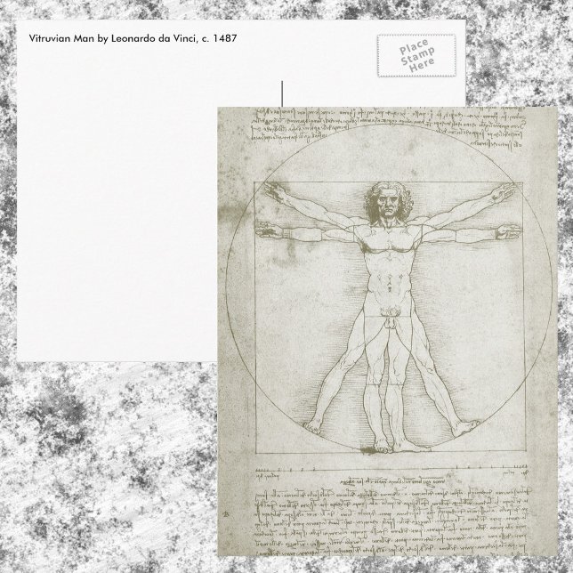 Vitruvian Man by Leonardo da Vinci Postcard (Creator Uploaded)