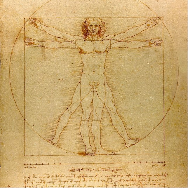 Vitruvian Man by Leonardo Da Vinci Standing Photo Sculpture (Front)