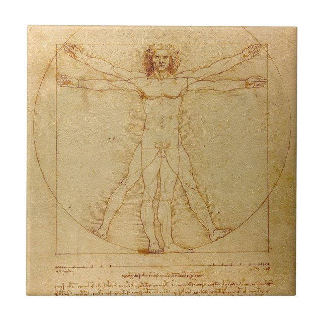Vitruvian Man by Leonardo Da Vinci Tile (Front)
