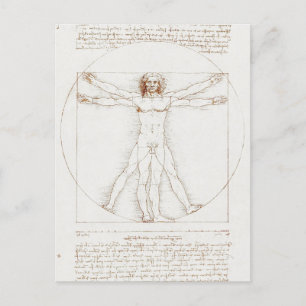Vitruvian Man Da Vinci  Postcard