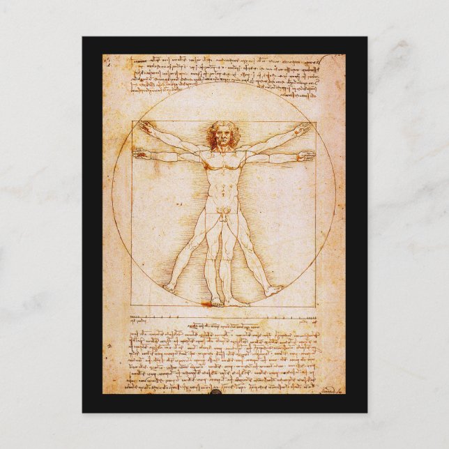 Vitruvian Man - Leonardo Da Vinci Postcard (Front)