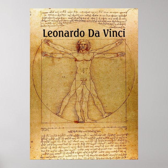 Vitruvian Man-Leonardo Da Vinci Poster (Front)