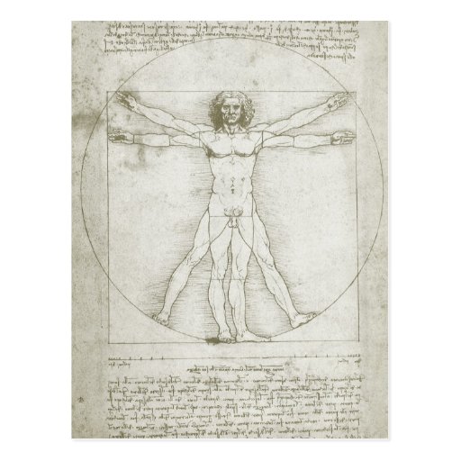 Vitruvian Man Leonardo da Vinci, Renaissance Art Postcard | Zazzle