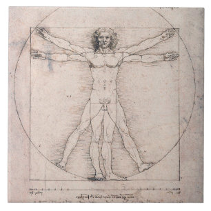 Vitruvian Man, Leonardo da Vinci Tile