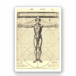 Vitruvian Man (Vitruvius: De architectura)