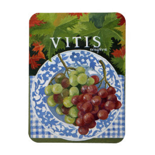 Vitus Magnet