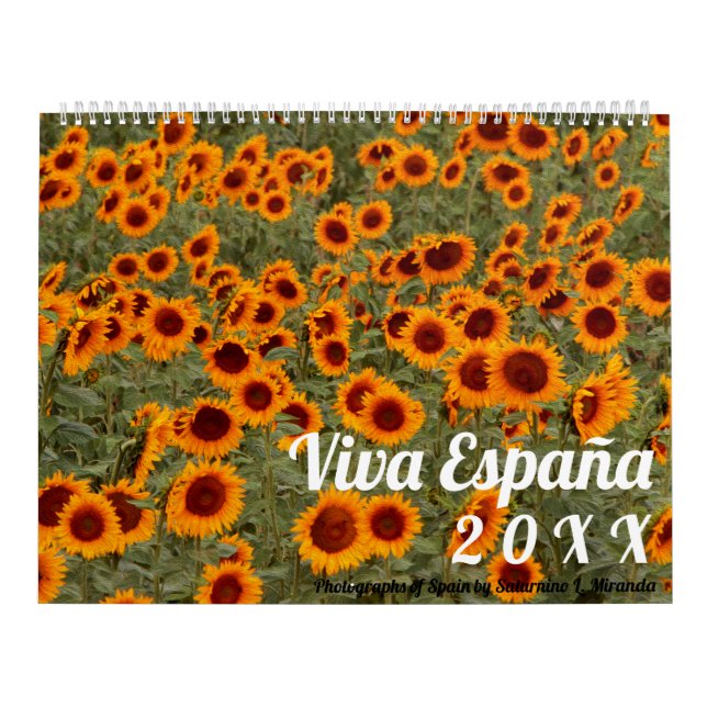 Viva Espana! Calendar (Cover)