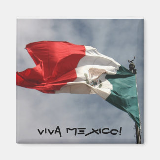 Viva Mexico! Magnet