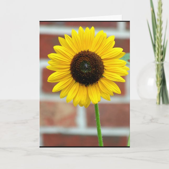 Vivian's Sunflower Card (Front)