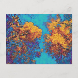 Vivid Autumn Trees Postcard