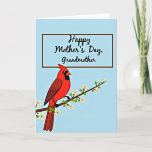 Vivid Avian Mothers Day Card